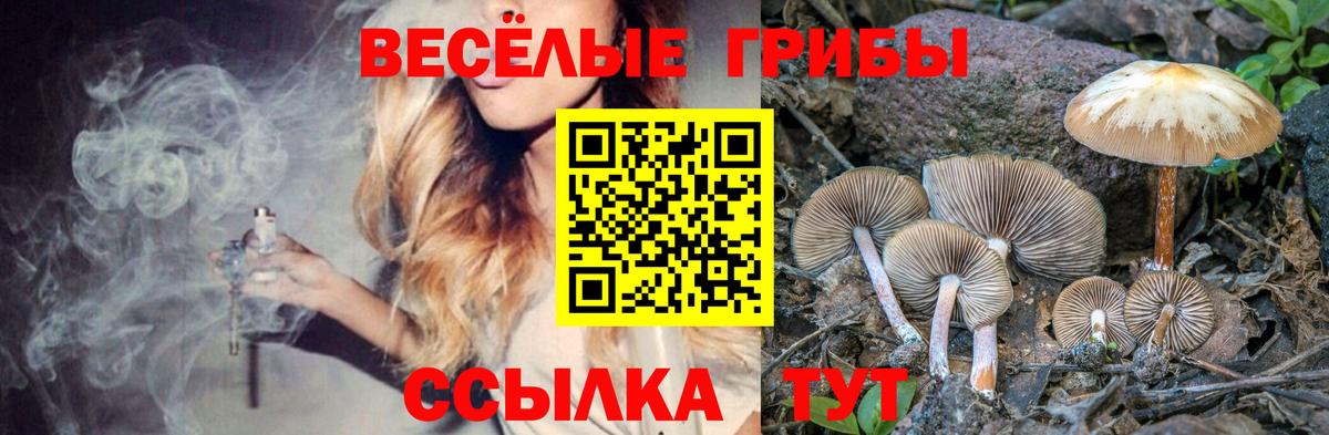 Галлюциногенные грибы мицелий Урус-Мартан